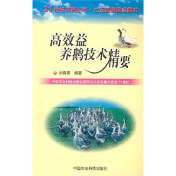 ��Ч���B(y��ng)�Z���g��Ҫ